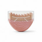 Lymphatic Massage Dry Brush